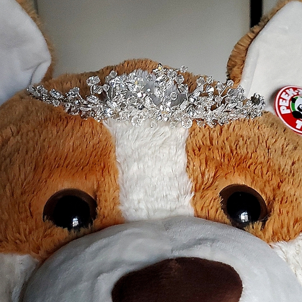 Crystal tiara for Quince Wedding